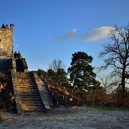 Le Denecourt - A Deux Pas De La Gare Et De La Foret De Fontainebleau Avon ภายนอก รูปภาพ